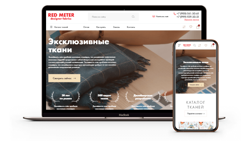 Создание интернет-магазина «RED METER» Создание интернет-магазина «RED METER»